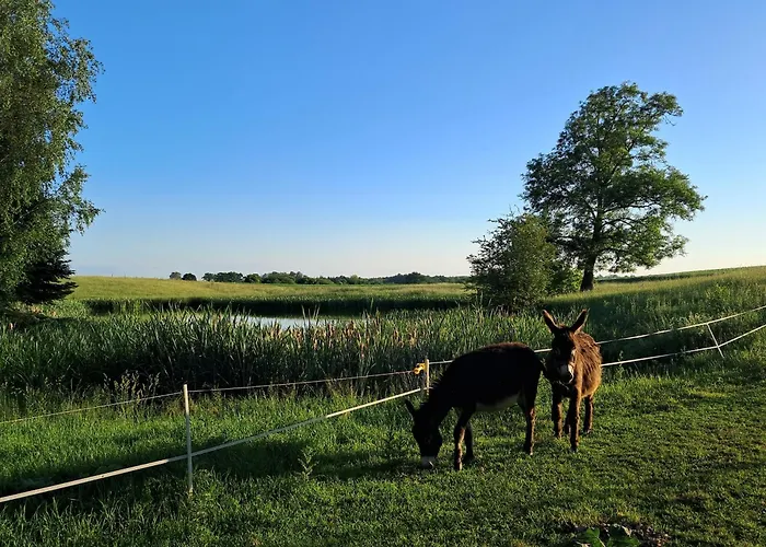 Agroturystyka Nasza Bajka