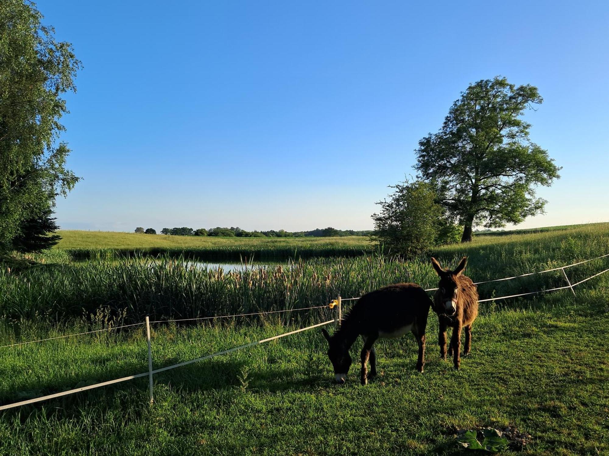 Farm stay Nasza Bajka
